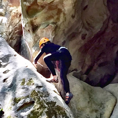 download Physics at the Highest Energy and