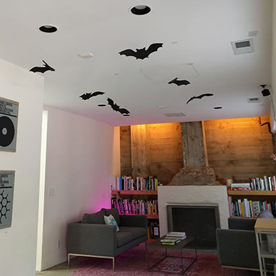 ebook Spiral Scratch (Doctor Who) 2005