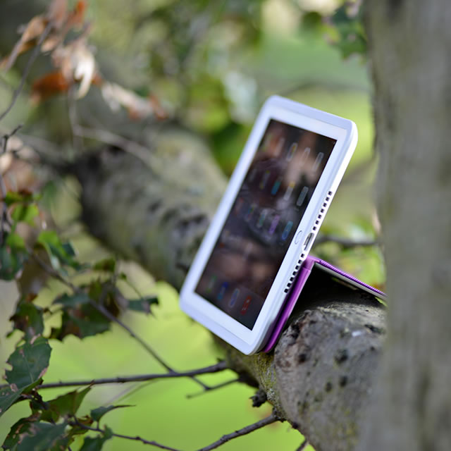 Logitech AnyAngle iPad case on the tree branch