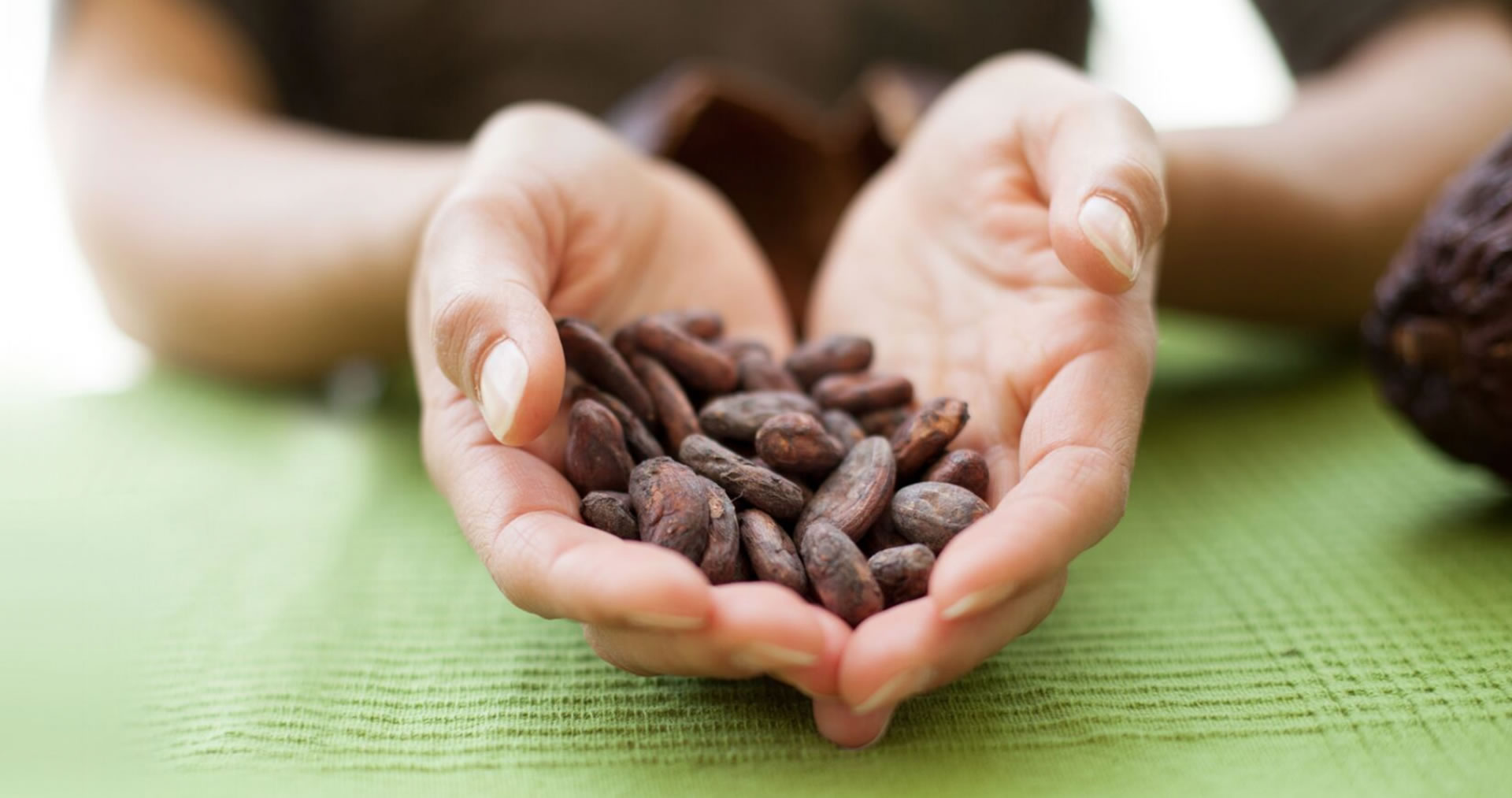 The Chocolate Garage cocoa beans